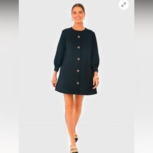 Black Tuckernuck Mini Dress